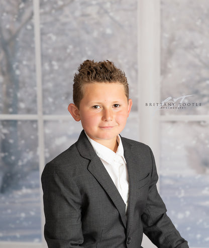 Morning Snowy Bay View - Room