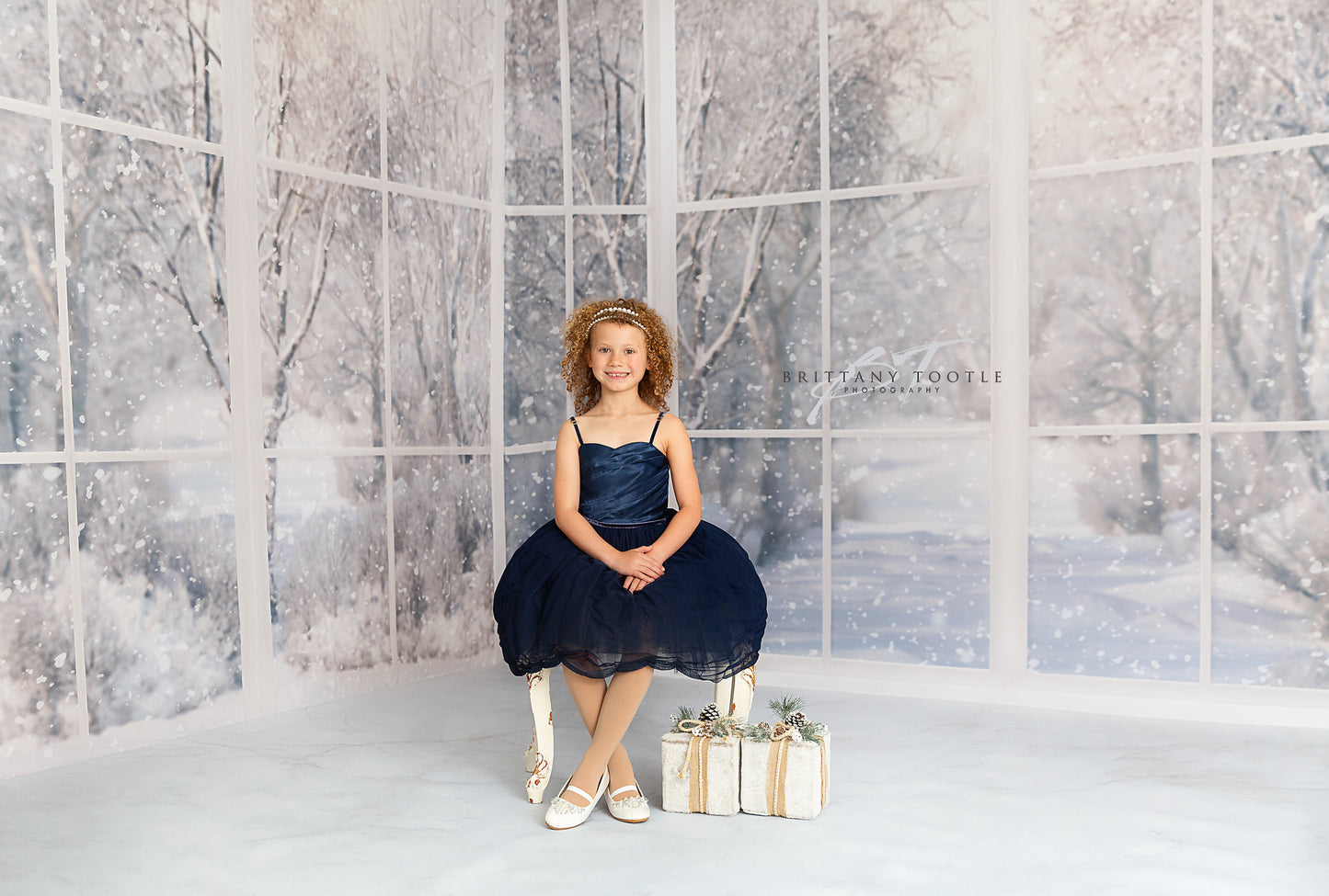 Morning Snowy Bay View - Room