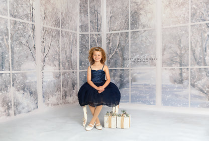 Morning Snowy Bay View - Room