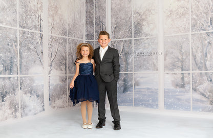 Morning Snowy Bay View - Room