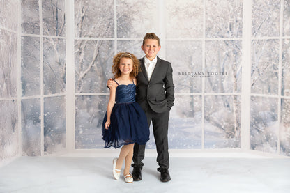 Morning Snowy Bay View - Room