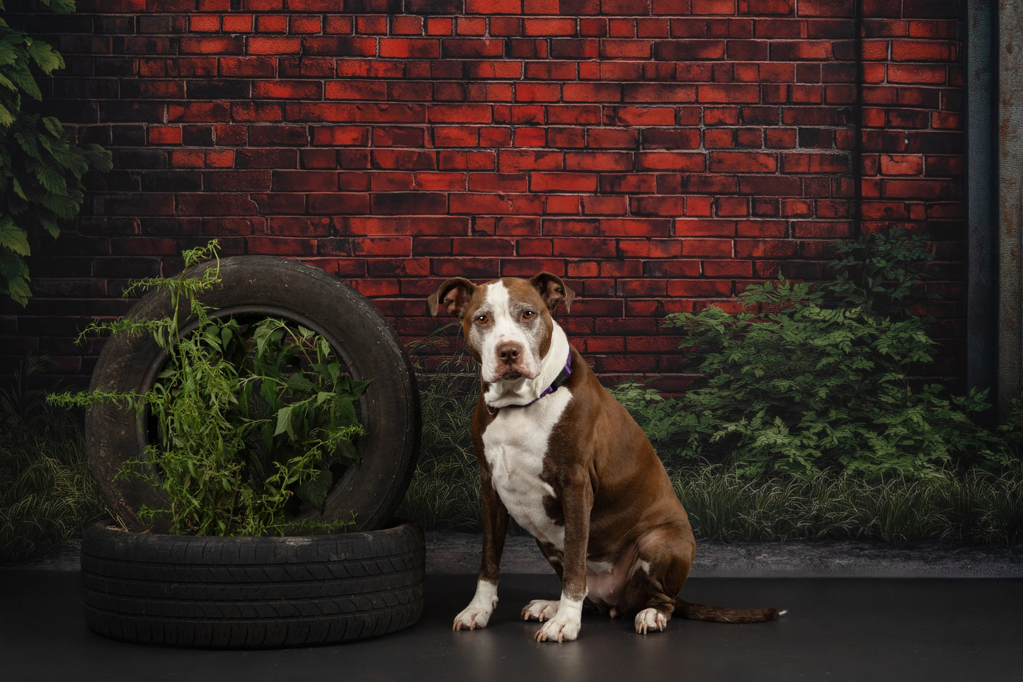 Overgrown Grit - With Sweep Option