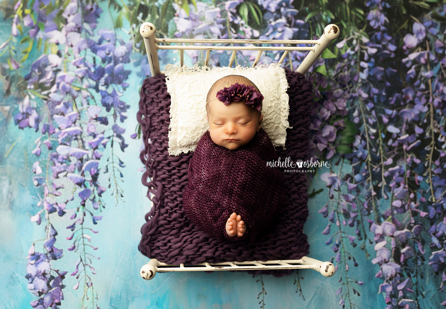 Painted Blue Wisteria  - Petite