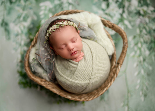 Painted White Wisteria - Petite