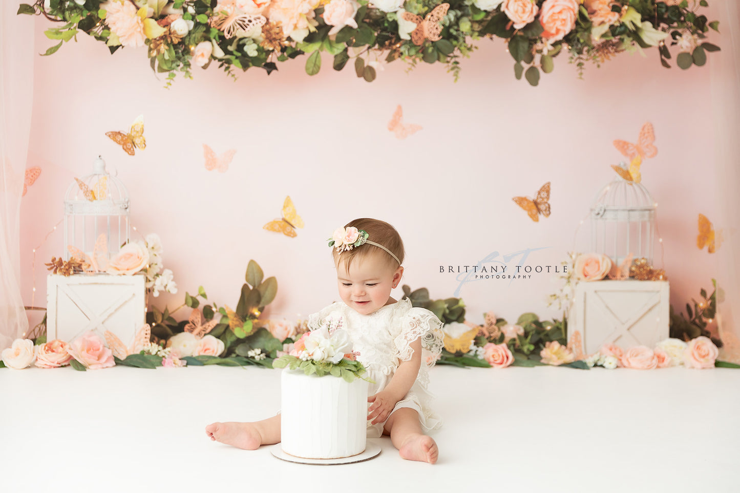Peach Butterfly Haven