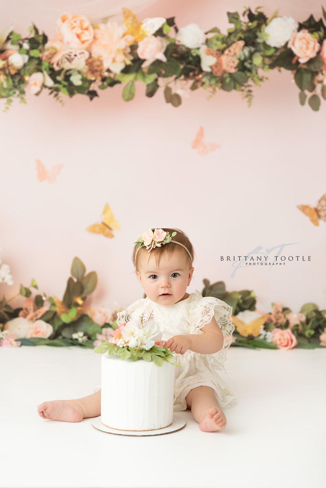 Peach Butterfly Haven