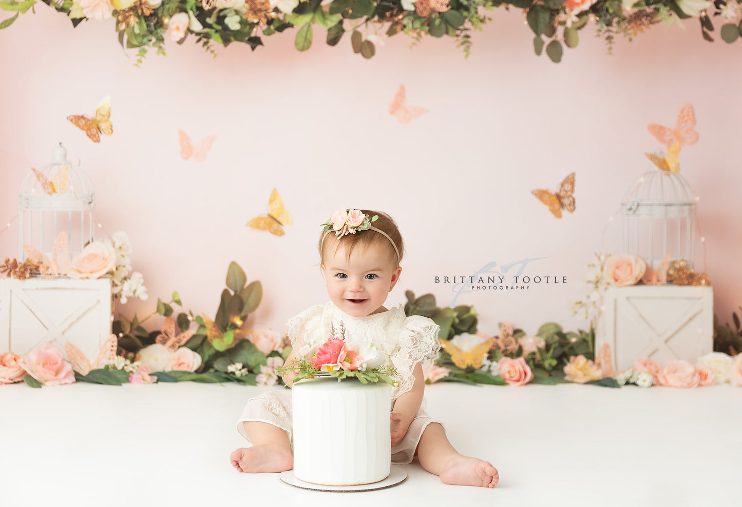 Peach Butterfly Haven
