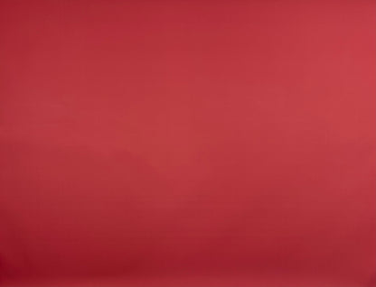 RTS POLYPAPER 4pk "Bundle 31" - Assorted 96x60"  - See Description - Only $120 When Added To Cart!