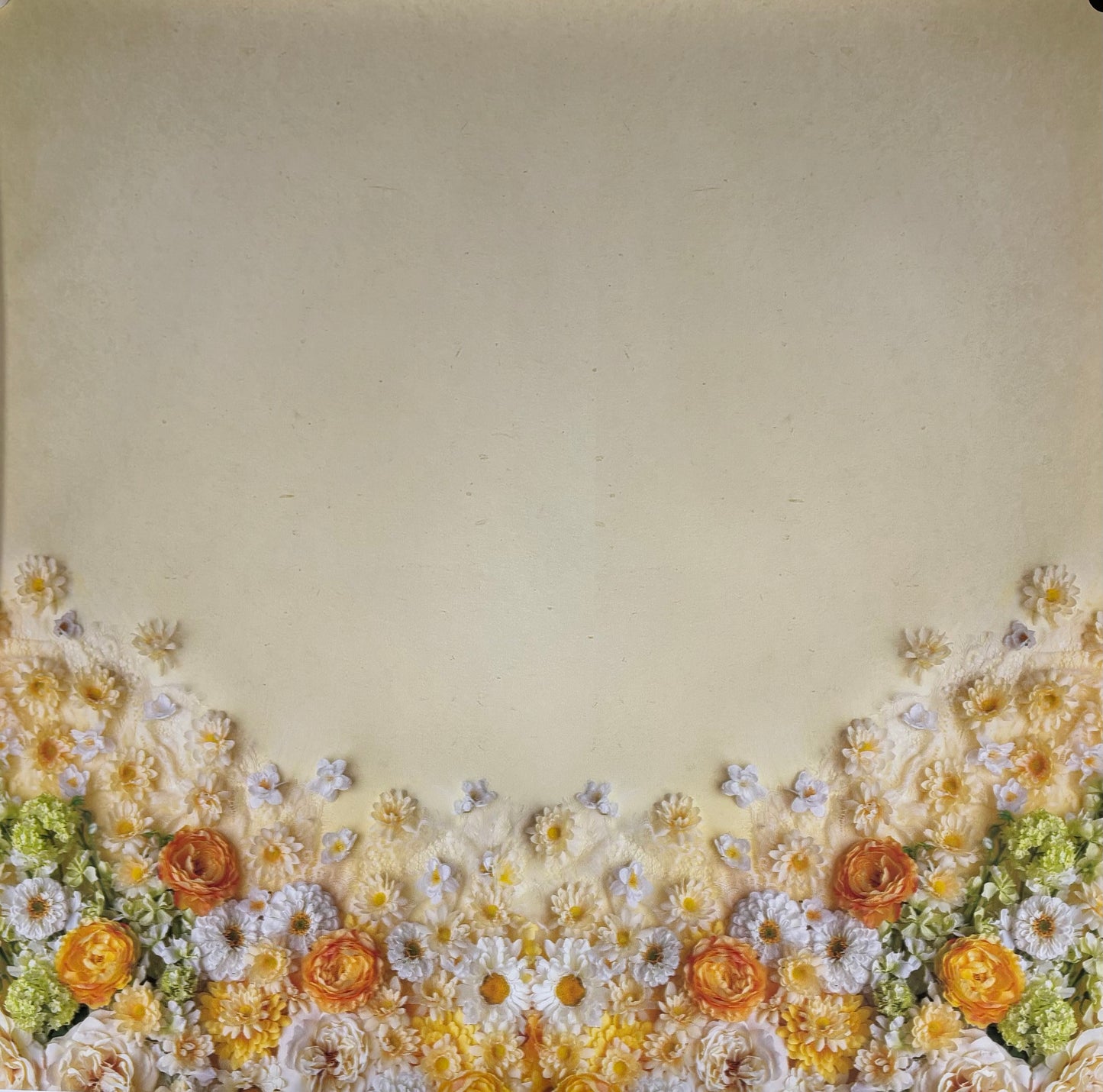 RTS POLYPAPER 8pk "Petite Bundle 2" - 8 Assorted 40x36" Petites  - See Description - Only $150 When Added To Cart!
