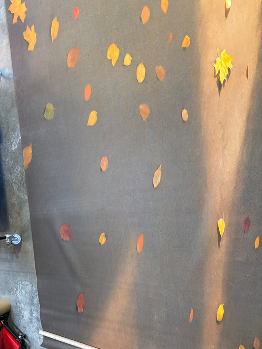 RTS Charming Autumn Fall Floor - 12x8 Mat Floor - Good Condition Used - 65% Off