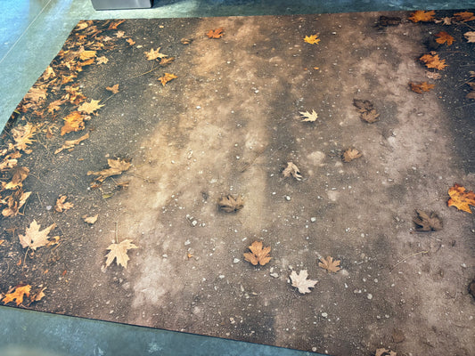 RTS Country Autumn Path - 12x8 Mat Floor - Good Condition Used - 65% Off
