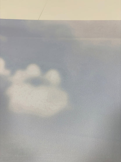 RTS Snowy Mountain Tree Farm Path - 10x7' Wrinkle-Free Fabric - Banding - 60% Off