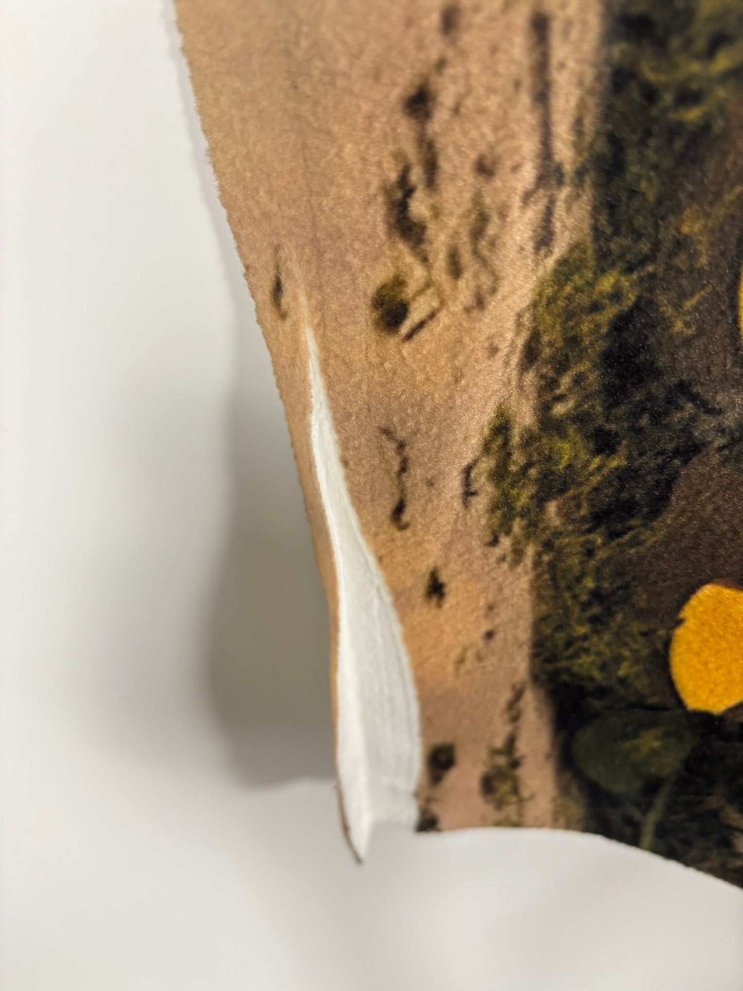 RTS Jungle Babies - 77x60" Fleece - Crease/Folds/Slightly Short 80x60 - 60% Off