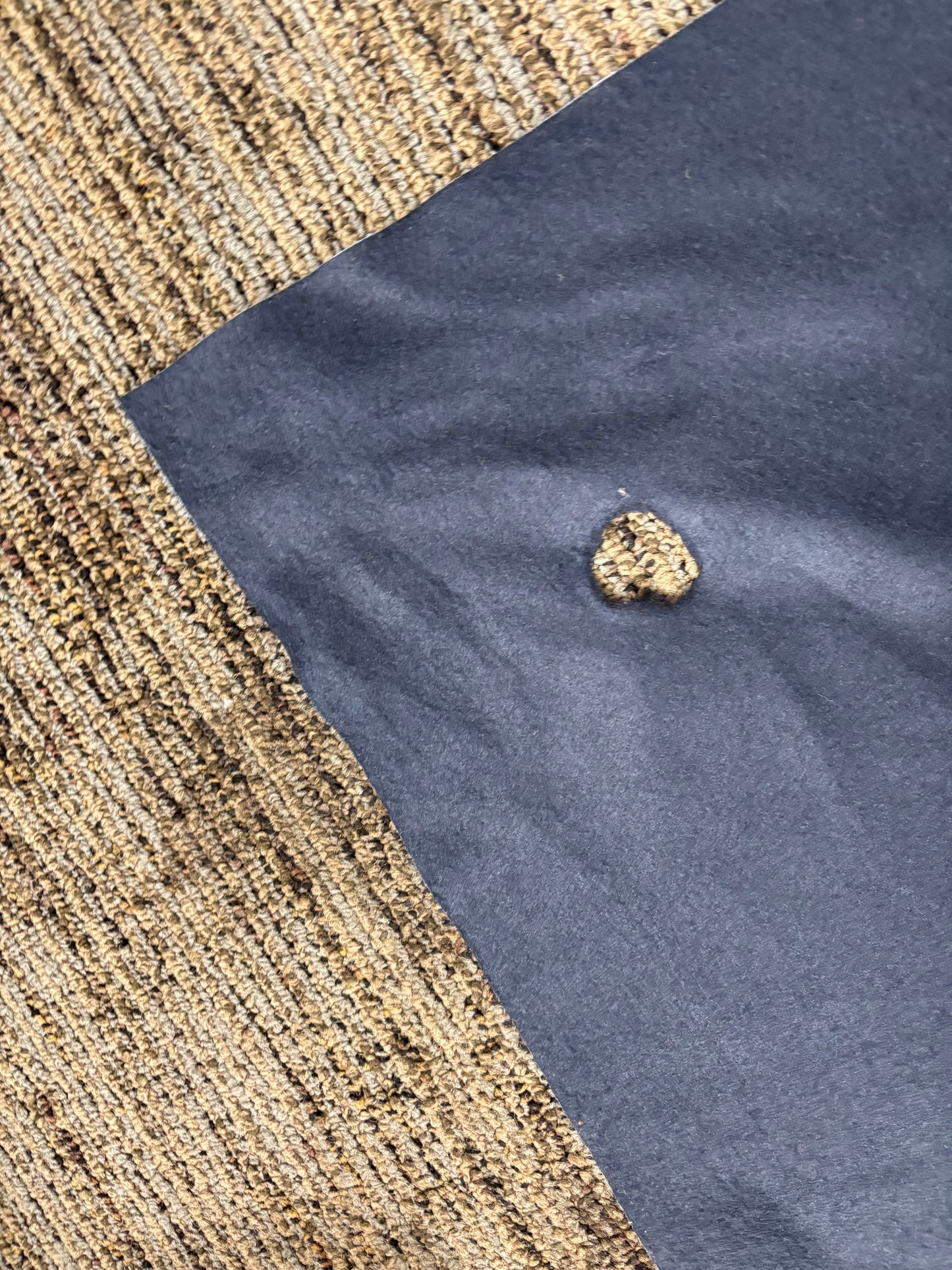 RTS Sapphire Surprise - 8x12' Sweep Value Luxe - Hole At Bottom - 60% Off