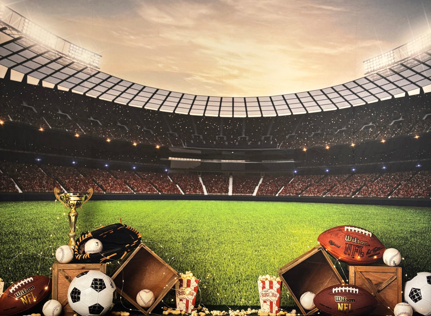 RTS Get In The Game - 9x6' Value Luxe - Thread Line - 60% Off