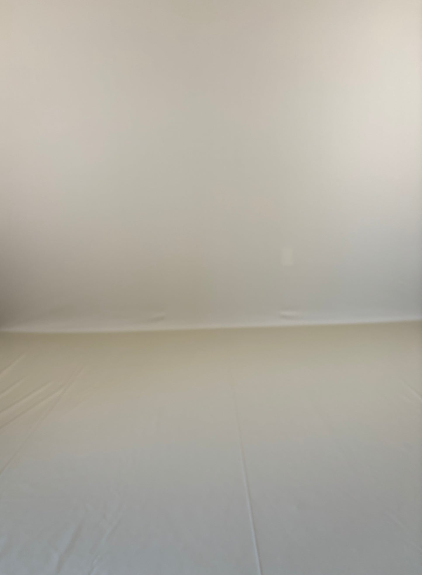 RTS Light Sage - 10x15' Wrinkle-Free Fabric - Yellow Tint - 60% Off