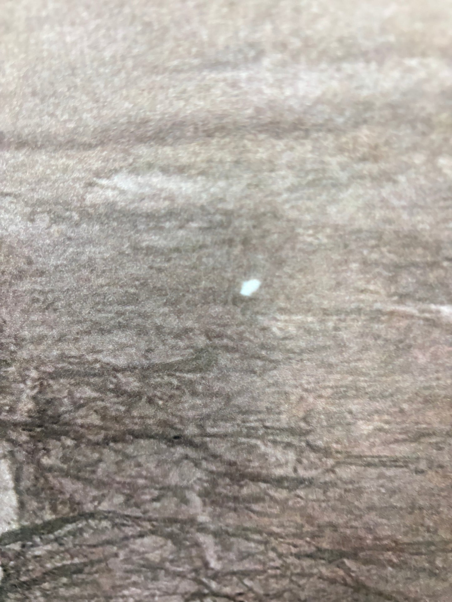 RTS Pewter Mist Shimmer - 6x10' Sweep - Value Luxe - White Spot - 60% Off