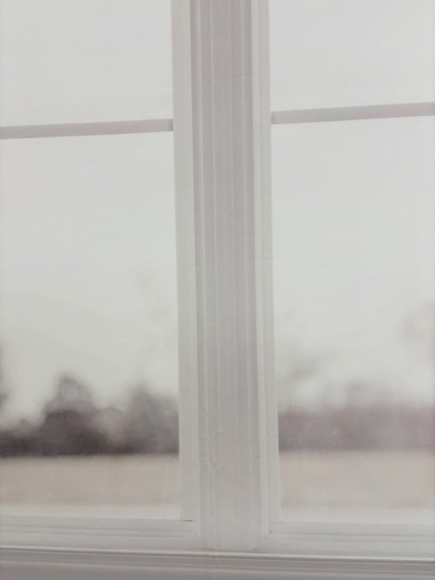 RTS Whimsical Window - 10x8' Wrinkle-Free Fabric - Banding - 60% Off