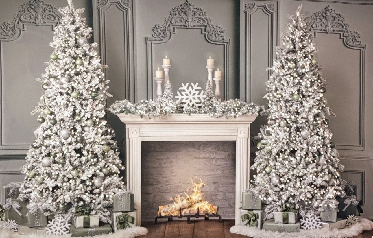 RTS Sage Noel - 12x8' Wrinkle-Free Fabric - Gray - 60% Off