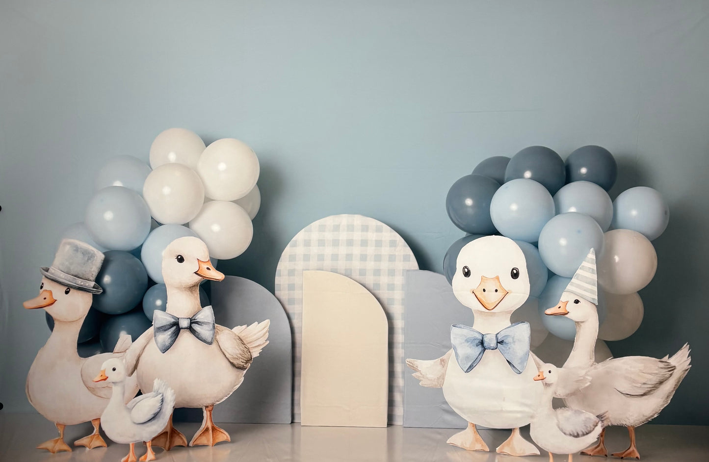 RTS My Silly Goose - 9x6' Wrinkle-Free Fabric - Dark/Banding - 60% Off