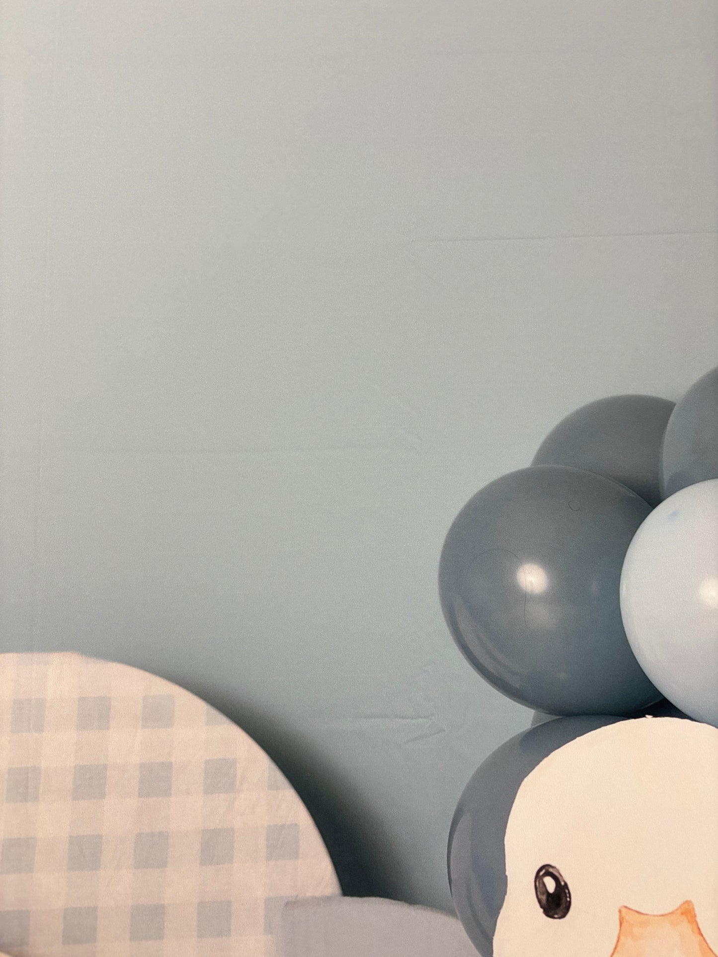 RTS My Silly Goose - 9x6' Wrinkle-Free Fabric - Dark/Banding - 60% Off