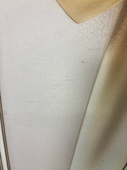 RTS Champagne Wishes - 8x6' Fleece - Ink Marks/Folds - 60% Off