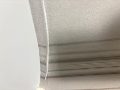 RTS Champagne Wishes - 8x6' Fleece - Ink Marks/Folds - 60% Off