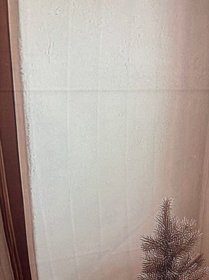 RTS Evergreen & Ivory - 12x8' Value Luxe - Banding - 60% Off