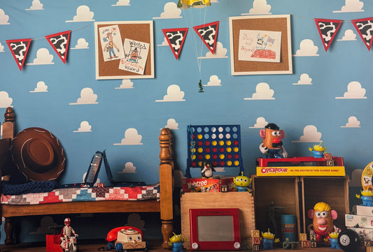 RTS Andy's Room - 90x60" Wrinkle-Free - Tiny Ink Mark - 55% Off