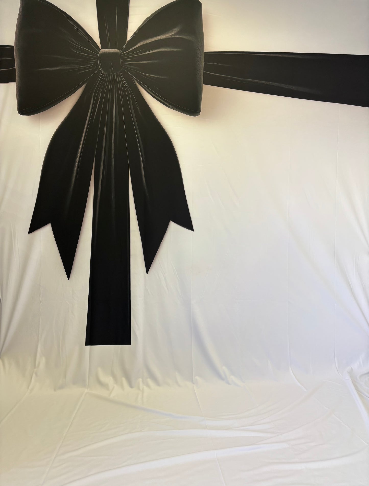 RTS Wrapped In Noir - 9x14' Sweep Wrinkle-Free Fabric -Banding/Dirt - 60% Off - 2 available