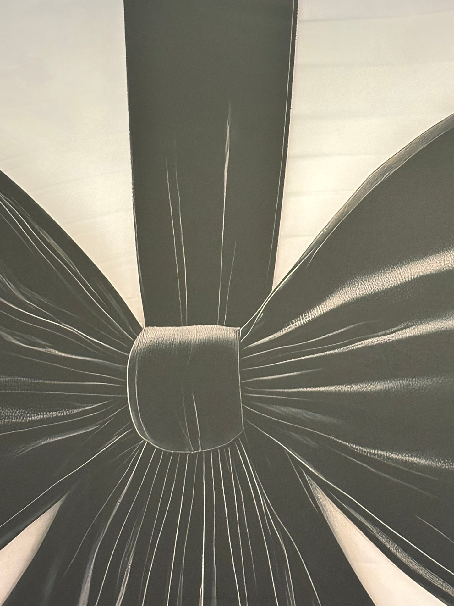 RTS Wrapped In Noir - 9x14' Sweep Wrinkle-Free Fabric -Banding/Dirt - 60% Off - 2 available