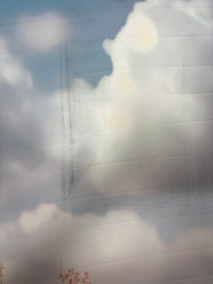 RTS Harvest Hills Pumpkin Patch - 7x13' Fabric - Banding/Dirt - 60% Off - 2 available