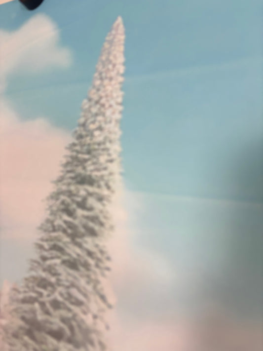 RTS Welcome To Christmas Town - 10x7' Wrinkle-Free Fabric - Banding - 60% Off