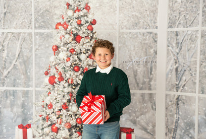 Holiday Birch Marble - Room