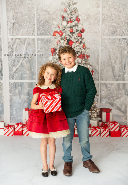 Red & White Holiday Birch 2pc Room