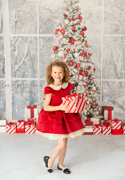 Red & White Holiday Birch