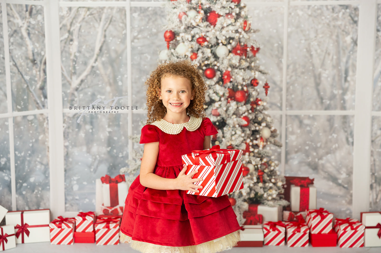 Red & White Holiday Birch