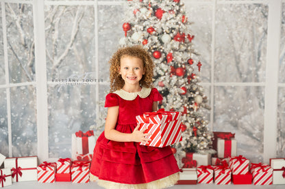 Red & White Holiday Birch