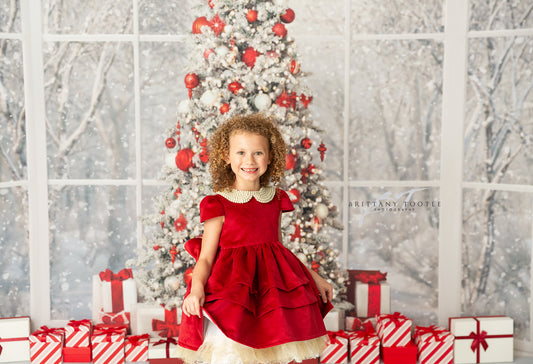 Red & White Holiday Birch