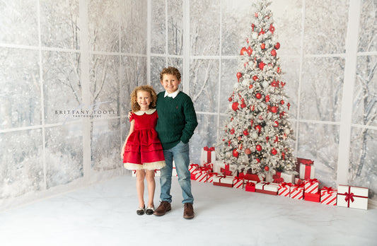 Red & White Holiday Birch 2pc Room