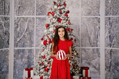 Red & White Winter Evergreens 2pc Room