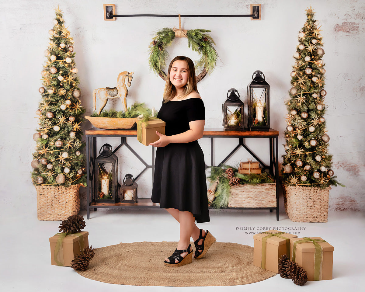Rustic Elegance Christmas Display 2pc Room