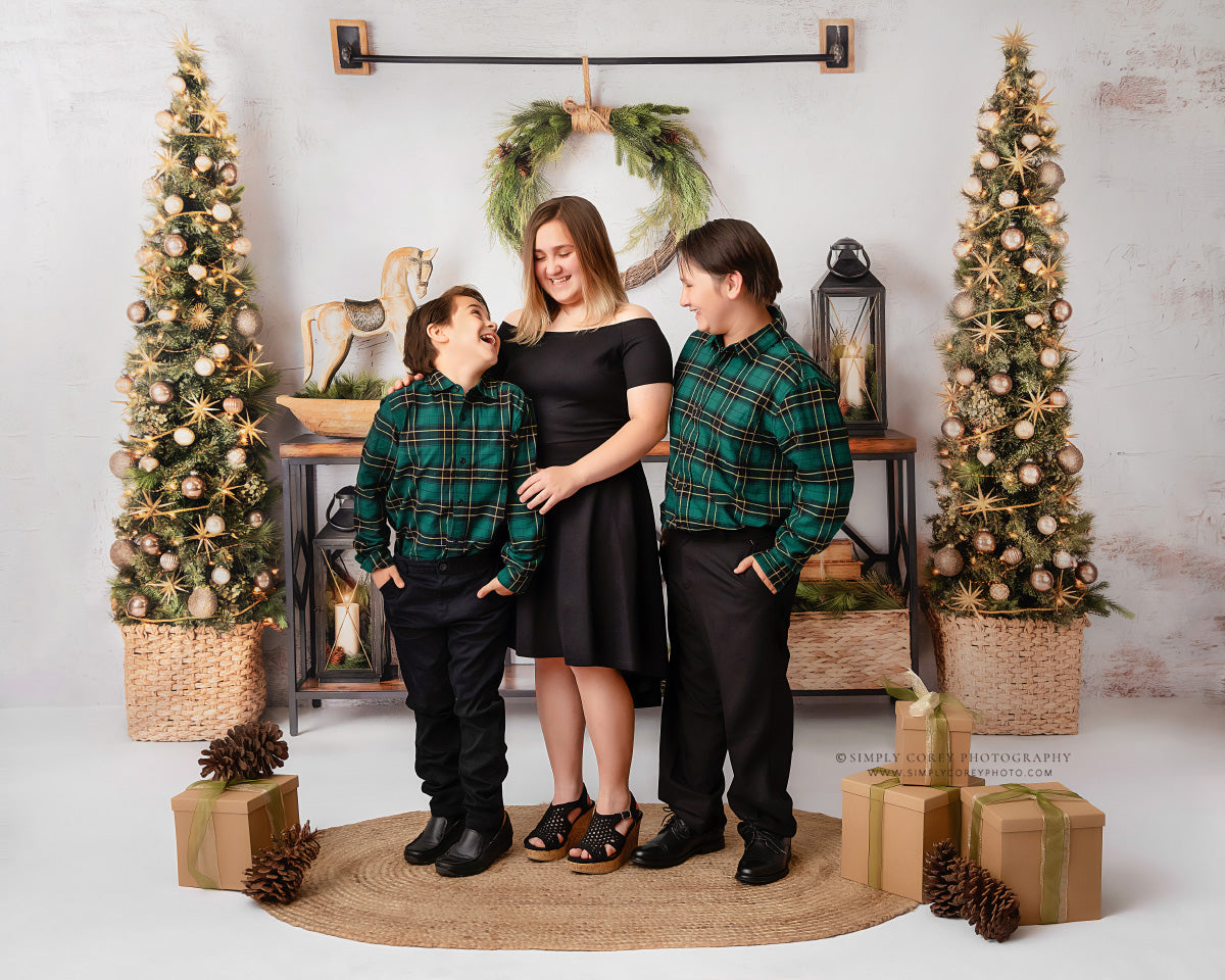 Rustic Elegance Christmas Display