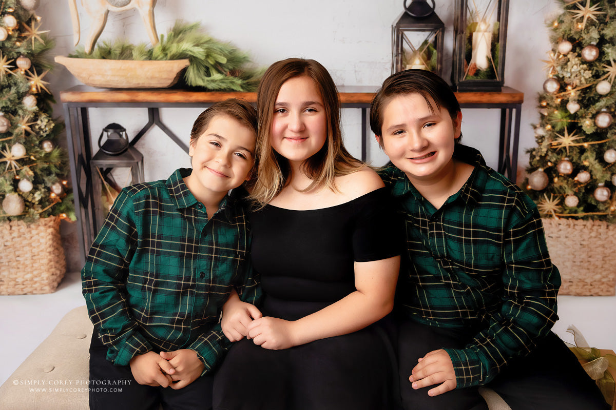 Rustic Elegance Christmas Display 2pc Room