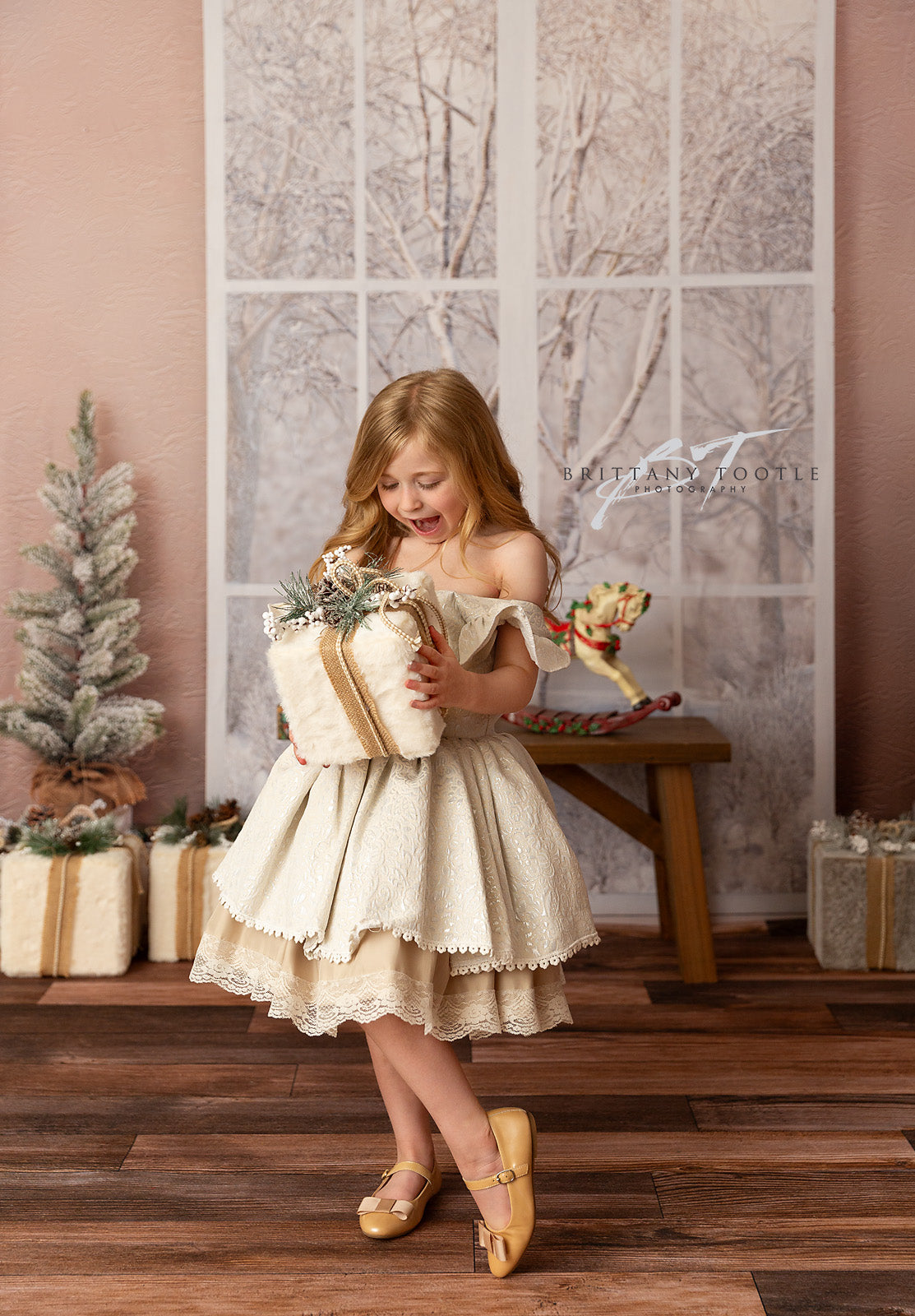 Rustic Elegant Window