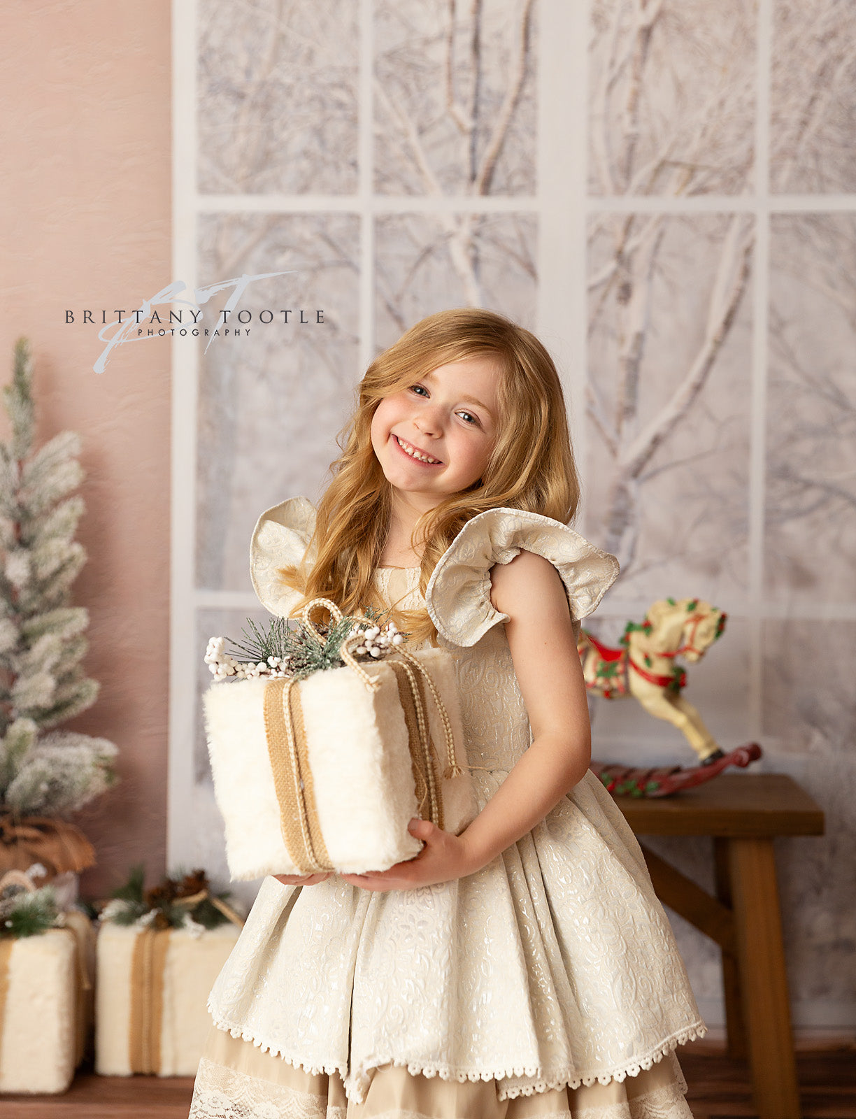 Rustic Elegant Window