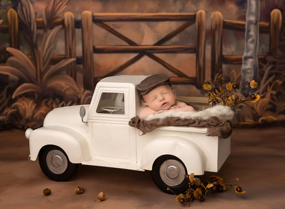 Rustic Meadow Retreat - With Sweep Option