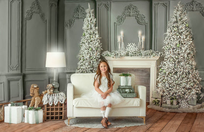 RTS Sage Noel - 12x8' Wrinkle-Free Fabric - Gray - 60% Off