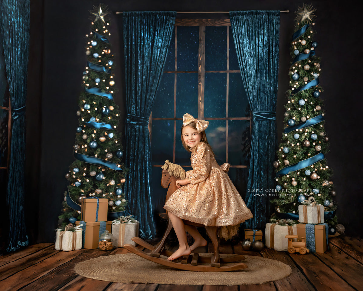 Serene Happiness - Room