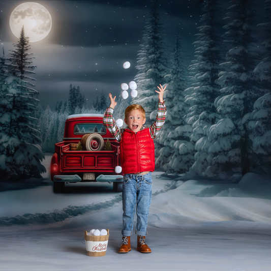 Snowy Moonlit Drive - No Lights - with Sweep Option